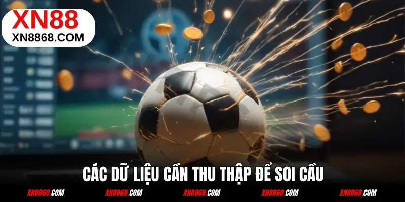 Các dữ liệu cần thu thập để ra kết quả soi chính xác