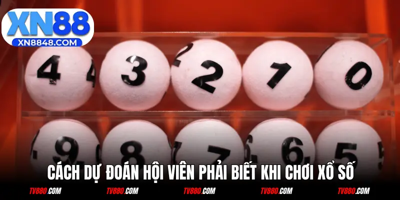 Kỹ thuật dự đoán hội viên phải biết khi chơi xổ số